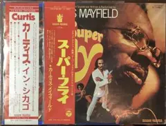 2026年最新】curtis mayfield レコードの人気アイテム - メルカリ