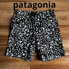 希少 Patagonia パタゴニア スイムショーツ 水着