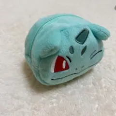 ゼニガメ ポーチ 新品未使用