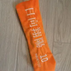 히나타 쇼요