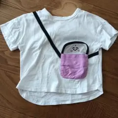 シナぷしゅ　Tシャツ　90 しなぷしゅ　シナプシュのサムネイル