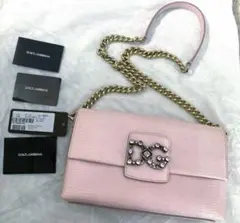 ✴︎Dolce & GabbanaDG Millennialsバッグのサムネイル