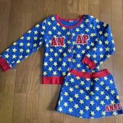 ANAP セットアップ 120 星
