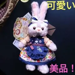 ステラルー　ぬいぐるみバッジ　秋のぼうけん✨　ディズニーリゾート
