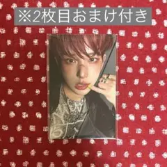 &TEAM Back to Life 韓国 POPUP 購入特典 ハルア トレカ