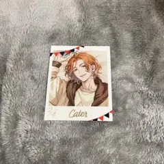 ツイステ くつろぎマイルーム フォト風カード フォトカ ケイト - メルカリ