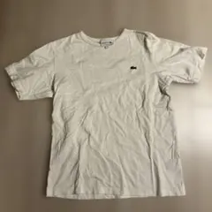 大特価！早い者勝ち！LACOSTE クラシックフィット Tシャツ XS ホワイト