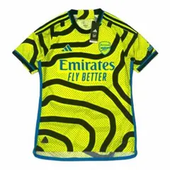 Item thumbnail for item 64fba852-c144-4598-9302-672c058638a2