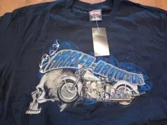 Harley-Davidson Tシャツ アリゾナ限定のサムネイル