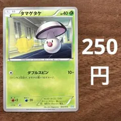 2026年最新】ポケモンカードゲームBW サザンドラデッキ30の人気