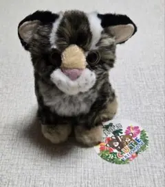 CUTE　イリオモテヤマネコ　ぬいぐるみ　西表山猫　人形　マスコット