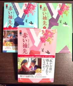 赤い袖口（袖先赤いクットン)小説 - メルカリ