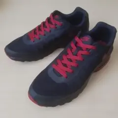 NIKE AIR MAX インビガー
