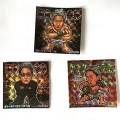 RIZIN 平本蓮 朝倉未来 ステッカー5枚セット 即購入可能　ABEMA RIZIN 平本蓮 朝倉未来 ステッカー5枚セット 即購入可能 ABEMA 緊急募集】