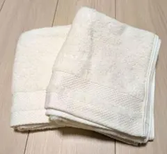 新品　TENERITA テネリータ フェイスタオル　2枚セット① オーガニックのサムネイル