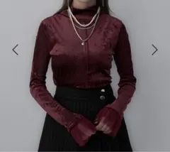 HARE ハレ シアーベロアハイネックトップス ボルドー