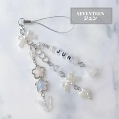 2025年最新】セブチ ペンライト アクセサリー ジュンの人気アイテム