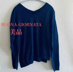 【美品】ボナジョルナータ ラメ入り Vネック長袖ニットソー ネイビー Fサイズ