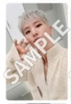 SEVENTEEN 消費期限　weverse 会場限定 東京　トレカ　ホシ