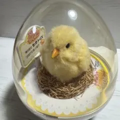 【未使用】夢ひよこ セガトイズ 2007年 株主優待 2026年最新】夢ひよこ セガトイズの人気アイテム - メルカリ
