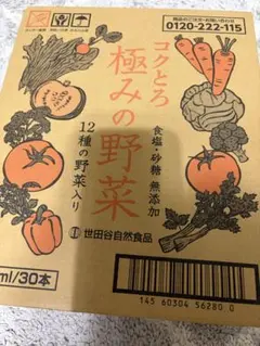 新品未開封⭐︎世田谷自然食品⭐︎コクとろ極みの野菜 30本のサムネイル