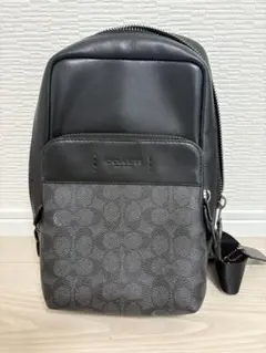 2026年最新】coach ウエストポーチ シグネチャーの人気アイテム - メルカリ