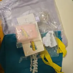 【最終値下げ】なにわ男子　バック&ペンライトセット