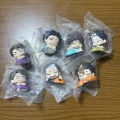 ハイキュー　おねむたん 赤葦　及川　岩泉　西谷　田中　牛島✖️2 ばら売り❌