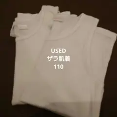 Item thumbnail for item 165ce2e1-dd31-49f8-998b-5c19fc72060e