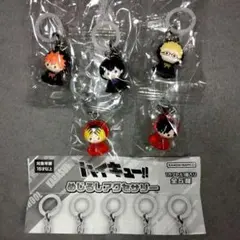 全5種 ハイキュー!! めじるしアクセサリー 日向 影山 月島 研磨 鉄朗