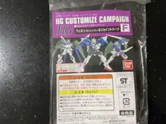 ガンプラ　hg カスタマイズキャンペーン　限定　F