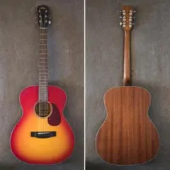 Aria-101 MTCS 現行モデル 極上のサムネイル