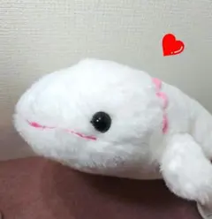 ✨AMAZING✨OCEAN✨ウーパールーパーミゼット ぬいぐるみ✨