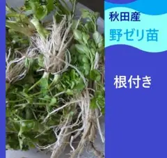 よっしー様 リクエスト 4点 まとめ商品