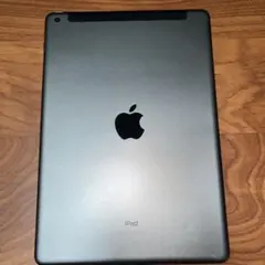 Apple iPad第8世代10.2インチ本体Apple Pencilケース付き