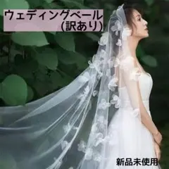 Item thumbnail for item 86121475-bbba-4122-8f75-09c4b0829e0c