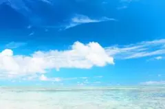 ひまわり(o^^o)さま専用