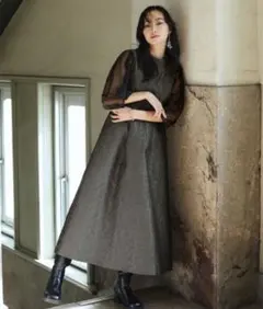 RUIRUE BOUTIQUE シアーランタンスリーブふくれジャカードドレス