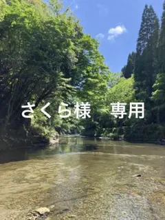 2026年最新】クレマチス 挿し木苗の人気アイテム - メルカリ