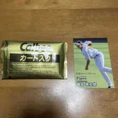 横田慎太郎選手　栄光のバックホーム　カード