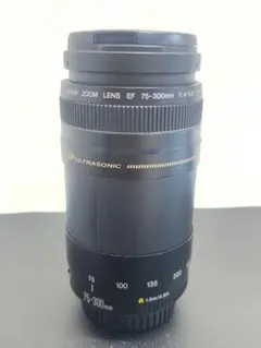 2026年最新】canon 75-300 4-5.6 IIの人気アイテム - メルカリ