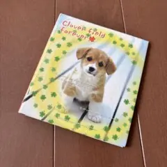 平成レトロ　希少　当時品　プロフィール帳