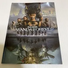 Item thumbnail for item 66d17731-d105-4a08-b453-ab3b11d8d946