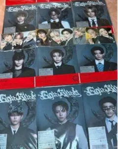 &TEAM 月狼 9形態セット+トレカ9枚