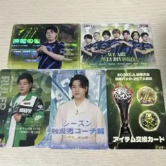 2025年秋季IJLカード ZETA Kznk UTR - メルカリ