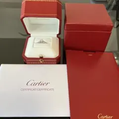 期間限定【付属完備】Cartier エタンセルドゥカルティエ フルエタ 2MM 