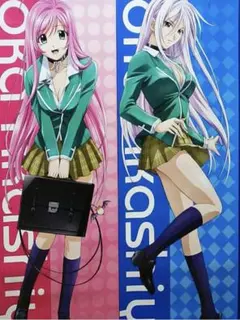 【残り3本！】ロザリオとバンパイア等身大ポスター2枚セットです。のサムネイル