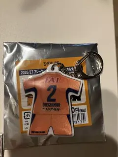 清水エスパルスリフレクターキーホルダーディエギーニョ選手