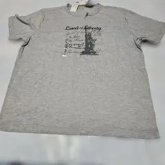 大きいサイズ　3Lメンズ半袖Tシャツ　トップバリュTOPVALU グレー未使用