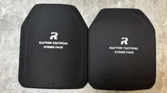 Item thumbnail for item 84f8ba1f-11bb-4987-97d3-5fb7ada4f89a